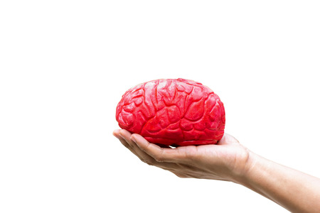 Human hand holding the brain red in memoryの写真素材