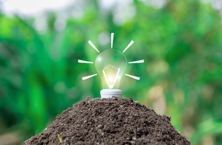 Ecological environment concept light bulbs on the ground and planting treesの写真素材