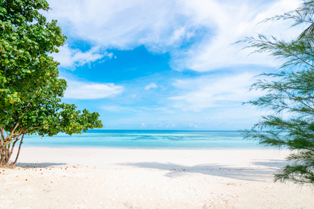 Sea and clear water beach have a holiday summer relaxing and travel bright sky koh lipe thailandの写真素材