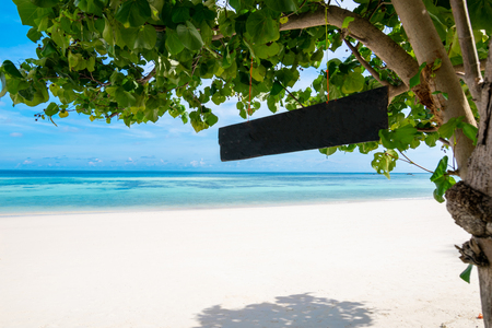 Sea and clear water beach have a holiday summer relaxing and travel bright sky koh lipe thailandの写真素材