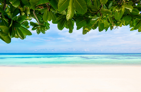 Sea and clear water leaves beach have a holiday summer relaxing and travel bright sky koh lipe thailandの写真素材