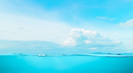 Sea the beach clear water and sky coconut trees with relaxationの写真素材