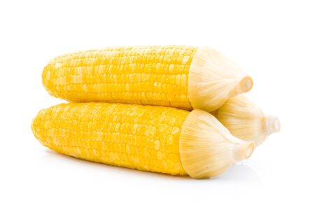 Corn boiled On a white backgroundの写真素材