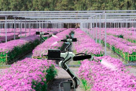 Automatic agricultural technology robot arm watering plants flower garden
の写真素材