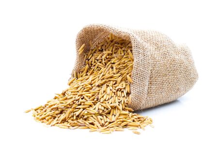 Rice of paddy Golden yellow in a sack on a white backgroundの写真素材