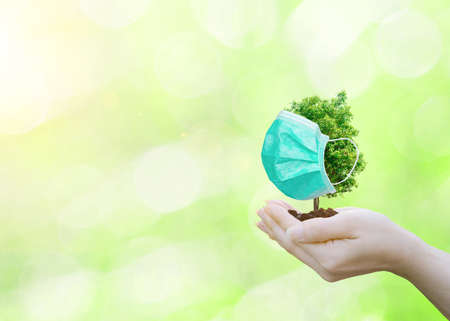 Concept tree wearing a mask to protect environmentの写真素材