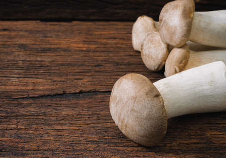 Mushroom on an old wooden tableの写真素材