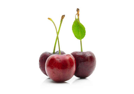 Cherry fruit on a white backgroundの写真素材