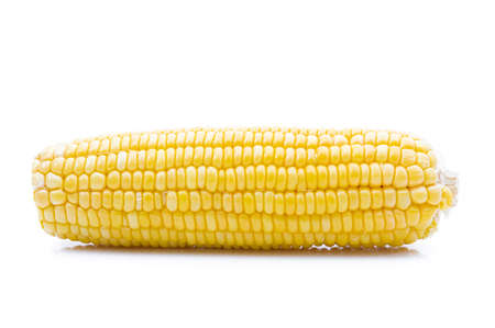 Raw corn on a white backgroundの写真素材