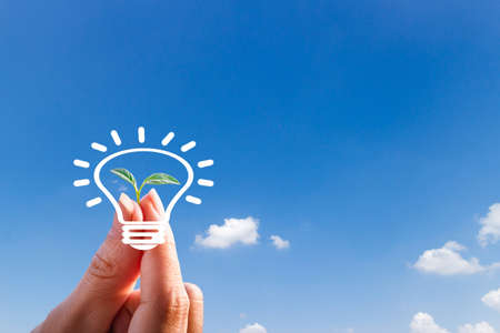 Environmental ecological concept hand holding seedlings tree and light bulbs Sky background
