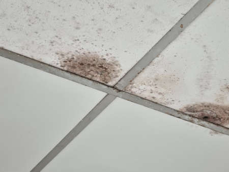 The ceiling is moldy wall panelsの写真素材