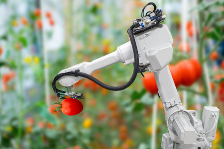 Smart robotic farmers harvest in agriculture futuristic robot automation to work technology increase efficiencyの写真素材