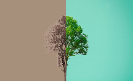 environmental concept fresh and dry trees on green backgroundの写真素材