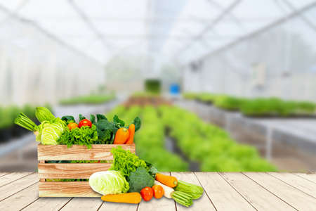 Banner design concept of fresh organic and vegetables on wooden table outdoors.