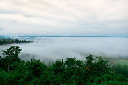 mountain scenery with fog of Phetchabun, Thailandの写真素材