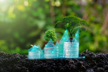 seedling on the money plant growth investment, profit from growing business conceptの写真素材