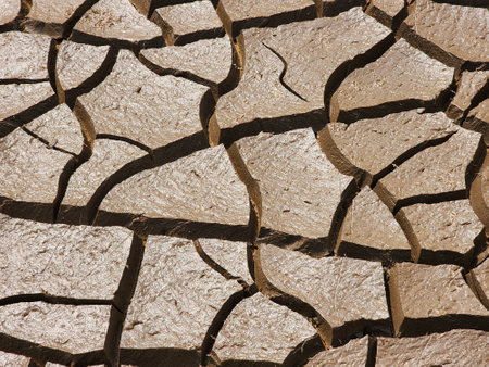 Dry and cracked soil or sediment of the treatment pondの写真素材