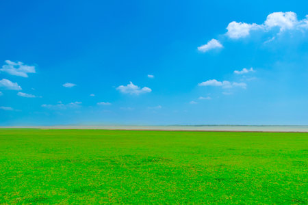 Natural view wide fields and clear sky.の写真素材