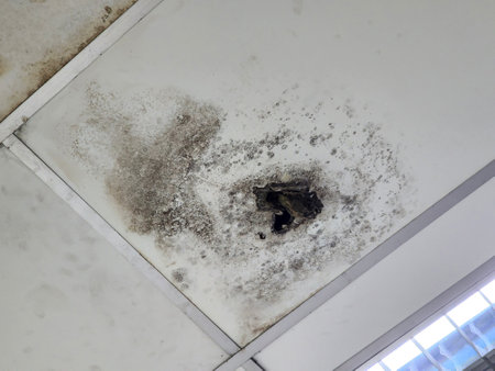 Water damaged ceiling roof as mold starts growing in residential houseの写真素材
