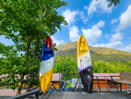 Kayak, tree and skyの写真素材
