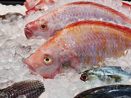 Fresh a fish frozen ice in the supermarketの写真素材