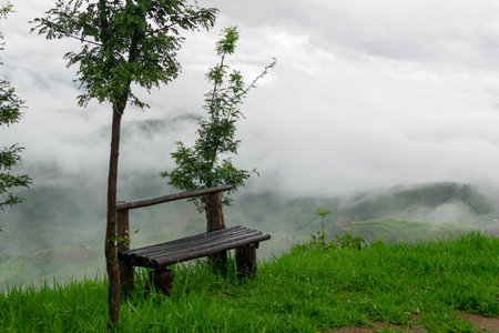 Natural mountain view on Doi Chang, Chiang Rai Province, Thailandの写真素材