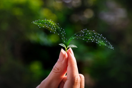 Tree seedling ecology and concepts Expanding business ideasの写真素材