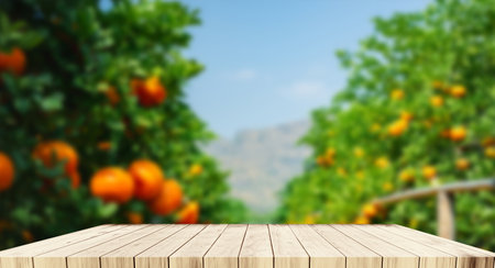 Empty wooden and orange garden backgroundの写真素材