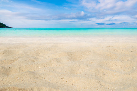 beach sandy beach beautiful natureの写真素材