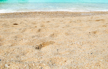 beach sandy beach beautiful natureの写真素材