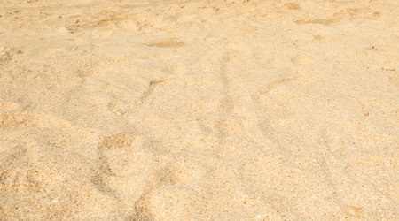 beach sandy beach beautiful natureの写真素材