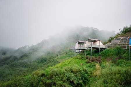 Landscape, fog on the mountain, relaxation and travelの写真素材