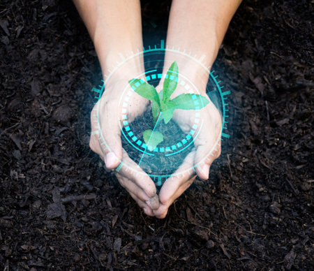 Environmental concept, tree growth, tree in handの写真素材