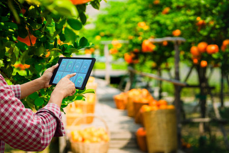 Concept farmers use technology tablets to monitor agricultural in orange gardenの写真素材