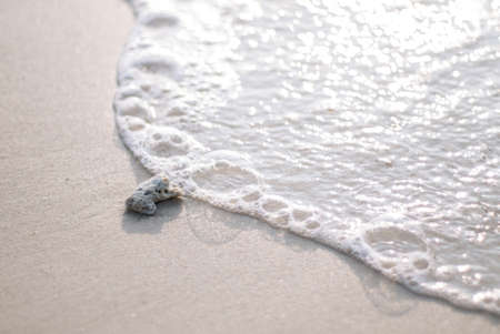Small coral on beach and wave in morning time of sunny dayの写真素材