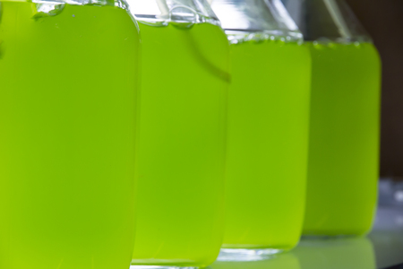 Marine plankton culture with light and oxygen in Scientific laboratory