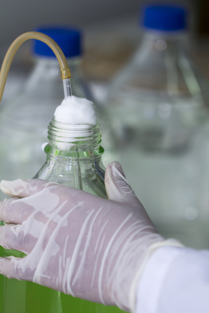 Scientist hand pouring plankton into bottles  in Scientific laboratoryの写真素材