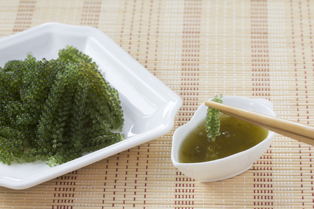 Sea grapes or green caviar and spicy sauce on a white dish the wooden dish made of Japanese style bambooの写真素材