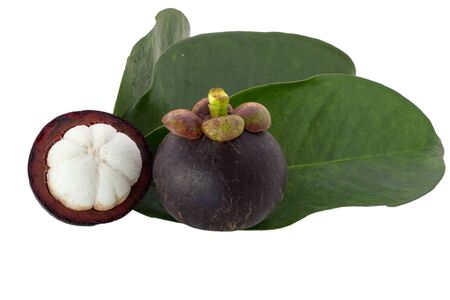 Ripe mangosteens or half mangosteen with green leaves isolated on the white backgroundの写真素材