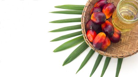 Red Oil Palm seed in a basket and leaf with cooking palm oil in glass on white background. Palm oil...