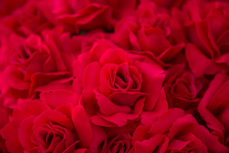 Abstract background of flowers. Close-up.