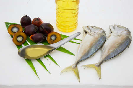 Oil palm fruits white backgroundの写真素材