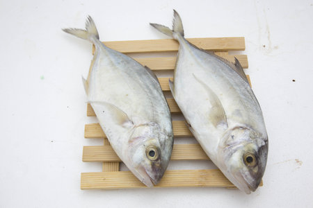 Fresh mackerel fishes on chopping block isolated on white background