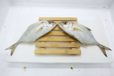 Fresh mackerel fishes on chopping block isolated on white backgroundの写真素材
