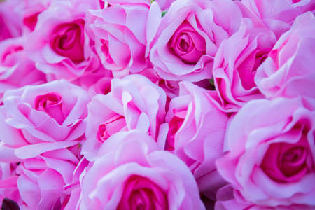 Abstract background of flowers. Close-up.の写真素材