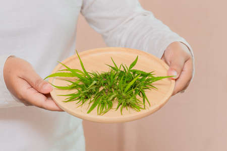 Cannabis , hand and wooden plates with marijuana leavesの写真素材