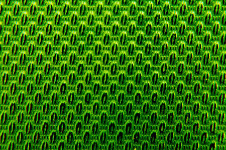 Background of a leather armchairの写真素材