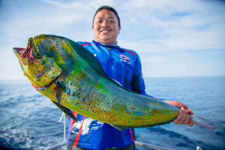 Lucky fisherman holding a beautiful dolphin fishの写真素材