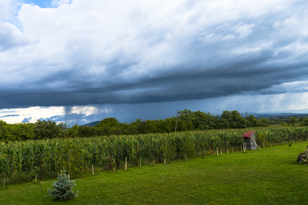 Clouds at the stormの写真素材