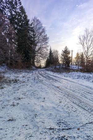 Morning winterの写真素材